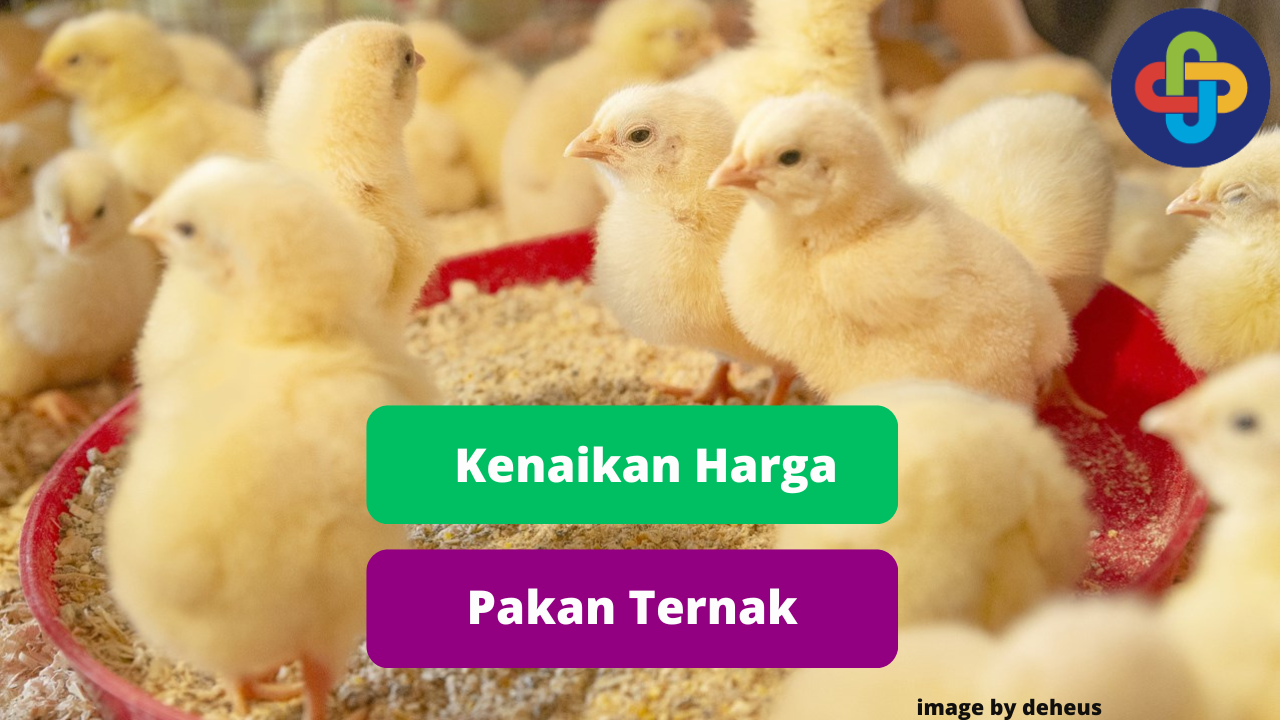 Faktor Penyebab Kenaikan Harga Pakan Ternak